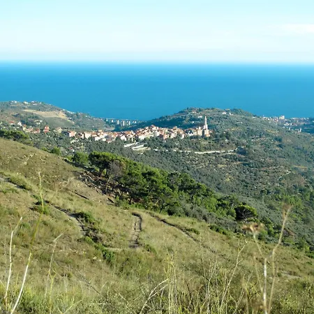 Olive By Interhome Civezza