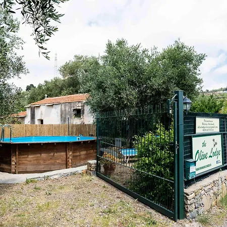 Olive By Interhome Dom wakacyjny Civezza