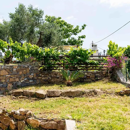 Casa vacanze Olive By Interhome *