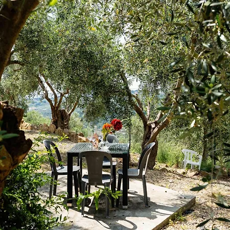 Olive By Interhome Civezza