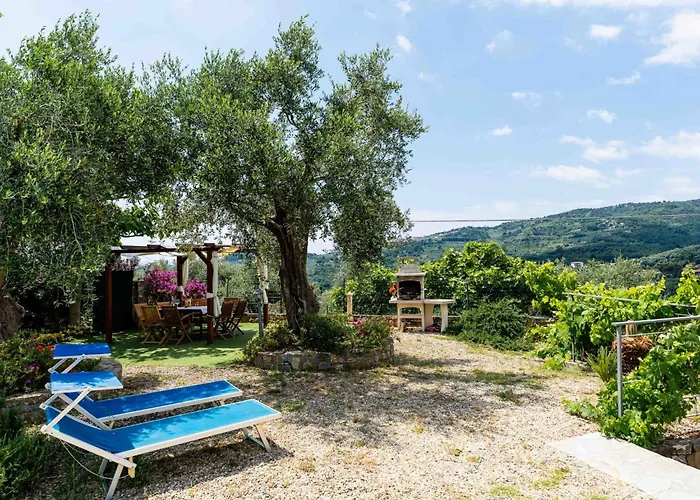 Olive By Interhome * Civezza