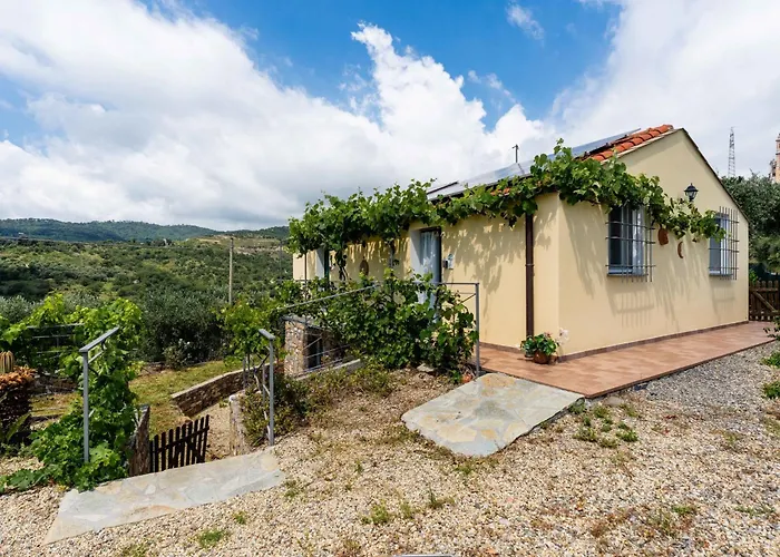 Olive By Interhome * Civezza