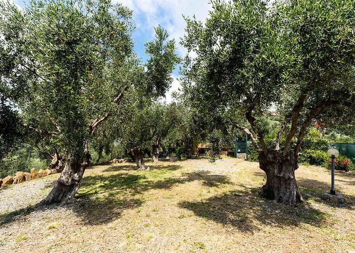 Olive By Interhome *