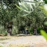 Olive By Interhome