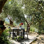Olive By Interhome Civezza