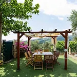 Olive By Interhome