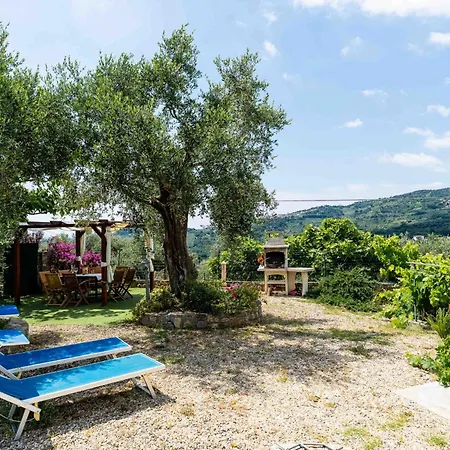 Olive By Interhome * Civezza