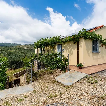 Olive By Interhome * Civezza