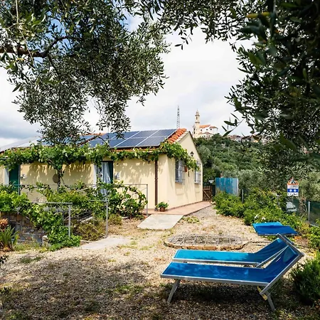 Olive By Interhome Vakantiehuis *