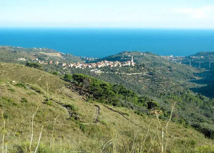 Olive By Interhome Civezza