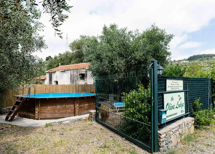 Olive By Interhome Semesterbostad Civezza